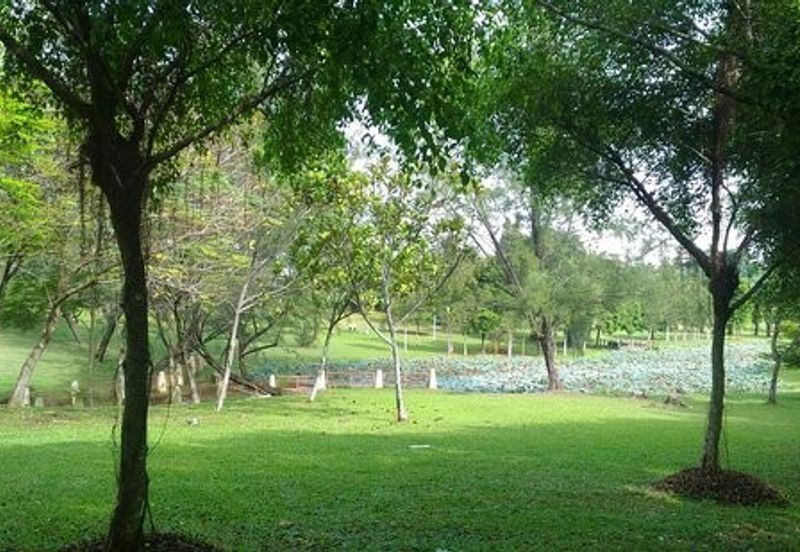 Casarina, Ara Damansara