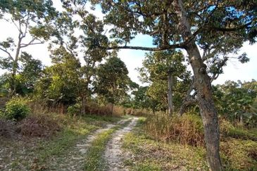 MURAH KEBUN DURIAN 6 EKAR TANAH PERTANIAN Mukim Sabai Bentong Pahang FOR SALE