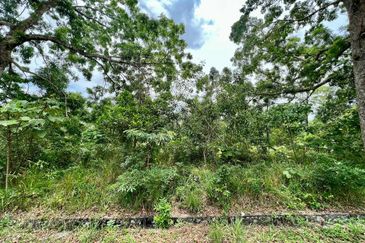 College Heights Garden Resort