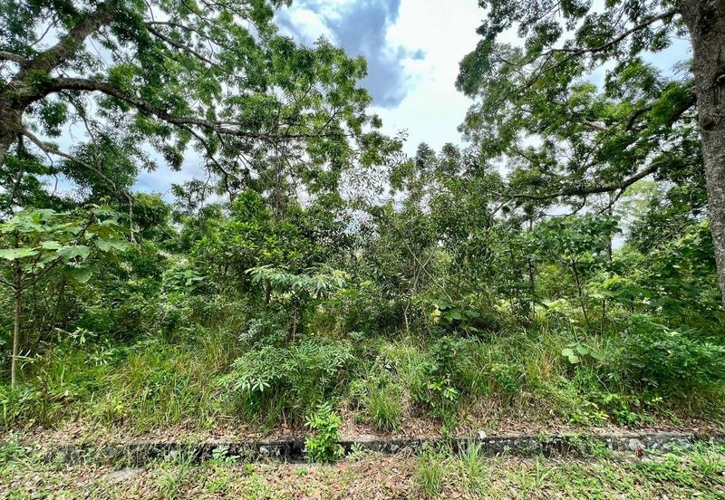 College Heights Garden Resort