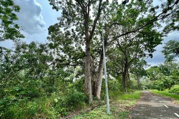 College Heights Garden Resort