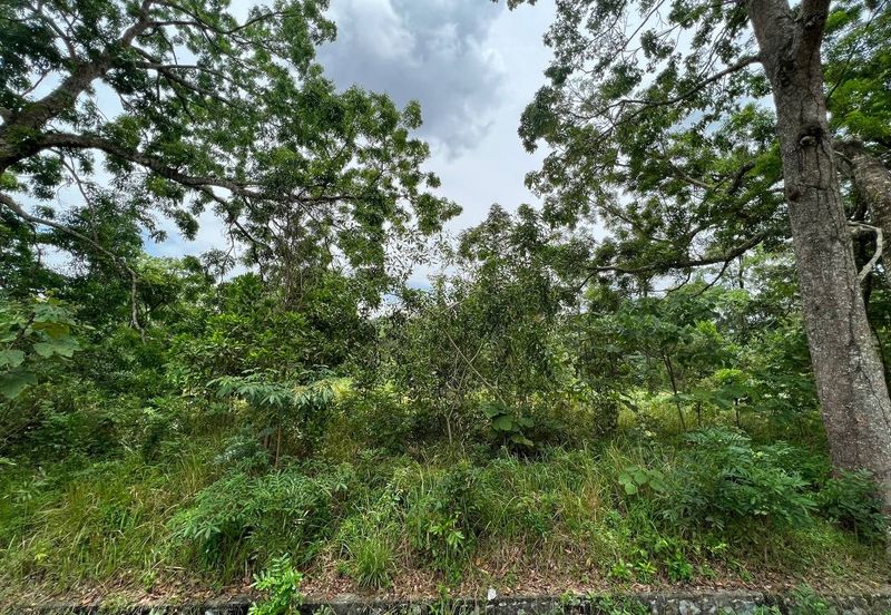 College Heights Garden Resort