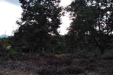 FELDA KAMPUNG SERTIK