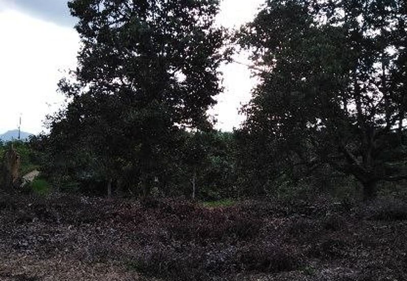 FELDA KAMPUNG SERTIK