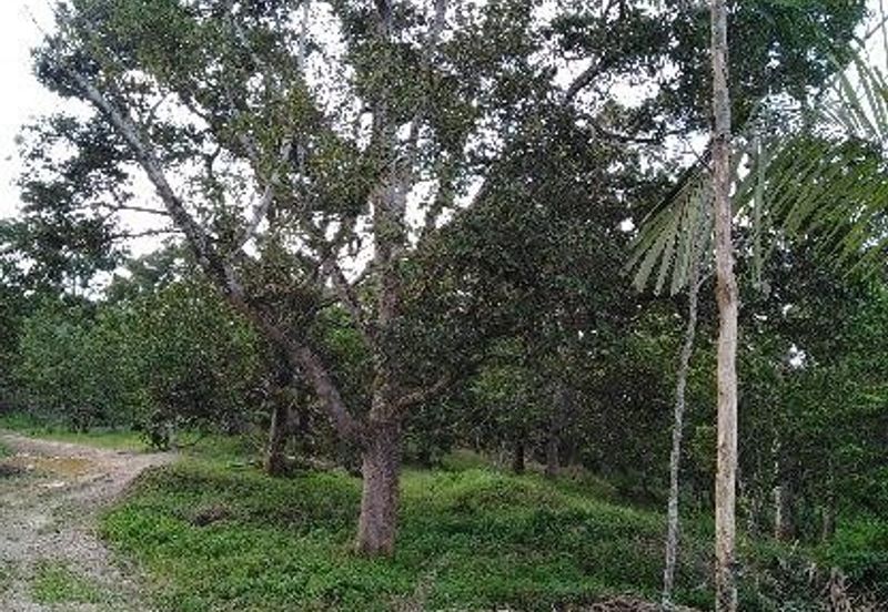 FELDA KAMPUNG SERTIK