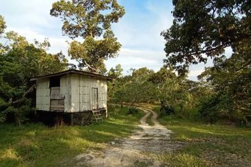 FELDA KAMPUNG SERTIK