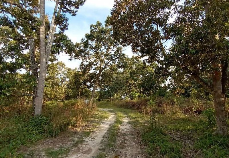 FELDA KAMPUNG SERTIK