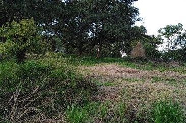 FELDA KAMPUNG SERTIK