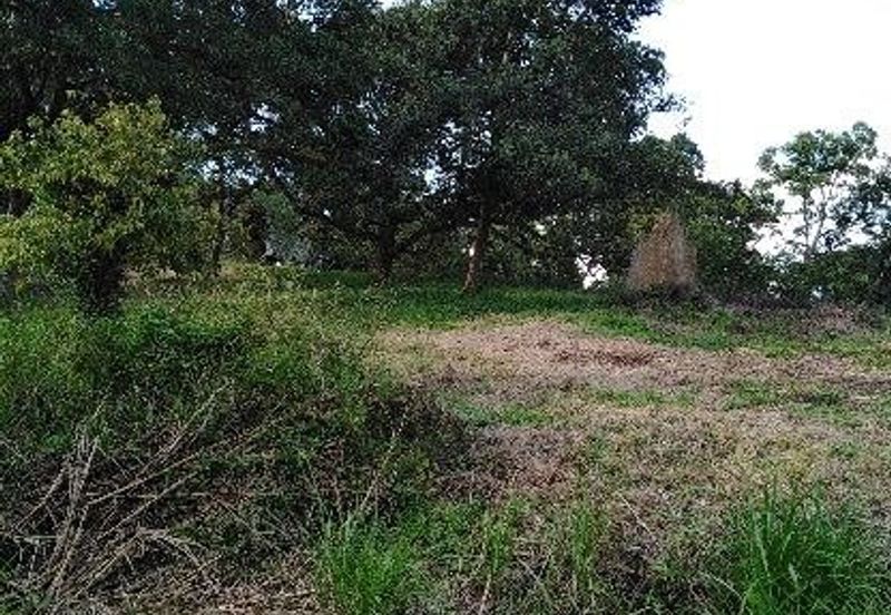 FELDA KAMPUNG SERTIK