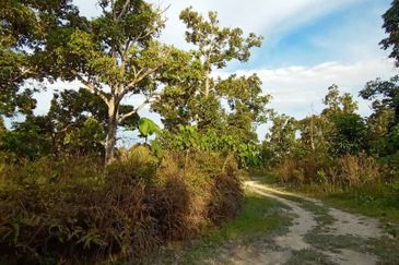 FELDA KAMPUNG SERTIK