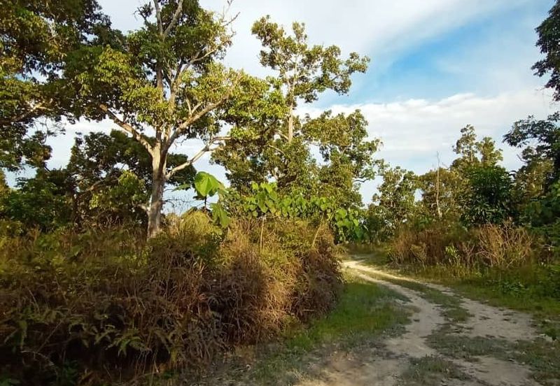 FELDA KAMPUNG SERTIK