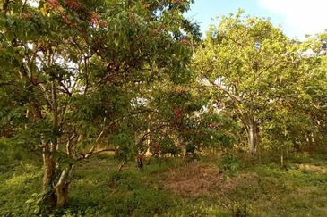 FELDA KAMPUNG SERTIK