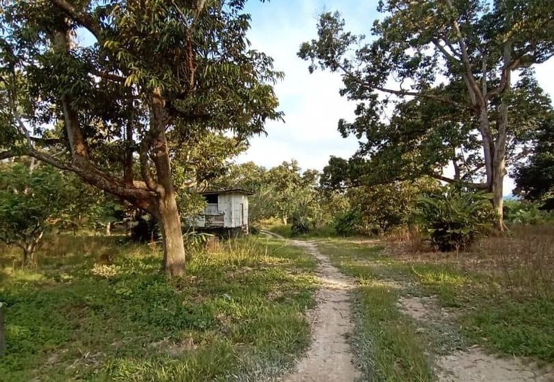 FELDA KAMPUNG SERTIK