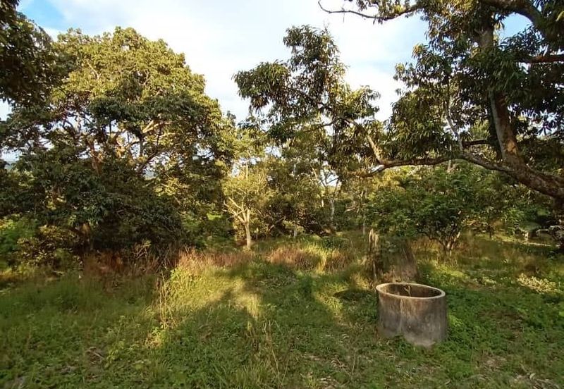 FELDA KAMPUNG SERTIK