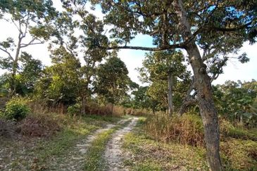 FELDA KAMPUNG SERTIK