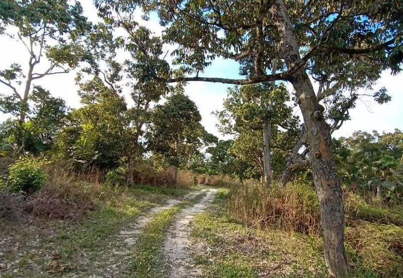 FELDA KAMPUNG SERTIK