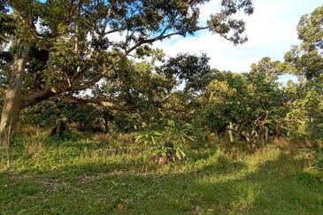 FELDA KAMPUNG SERTIK