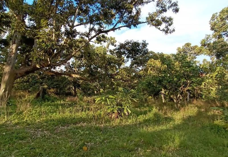 FELDA KAMPUNG SERTIK