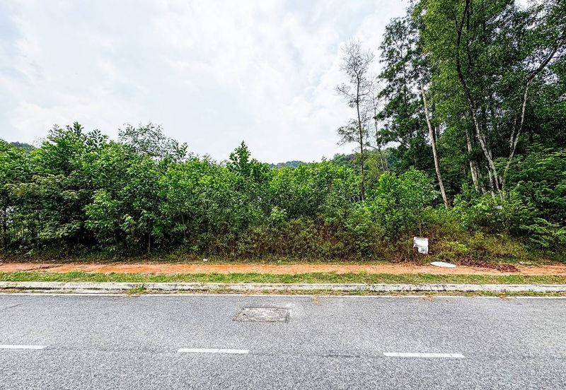 Jalan Rimba Riang 9/9