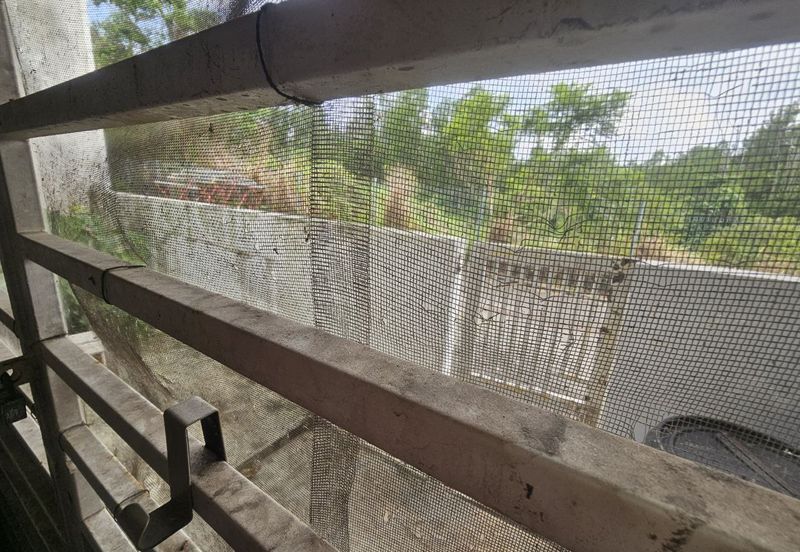 NILAI IMPIAN (LAMAN DELFINA)