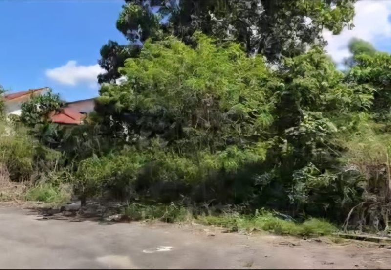 Bandar Baru Salak Tinggi