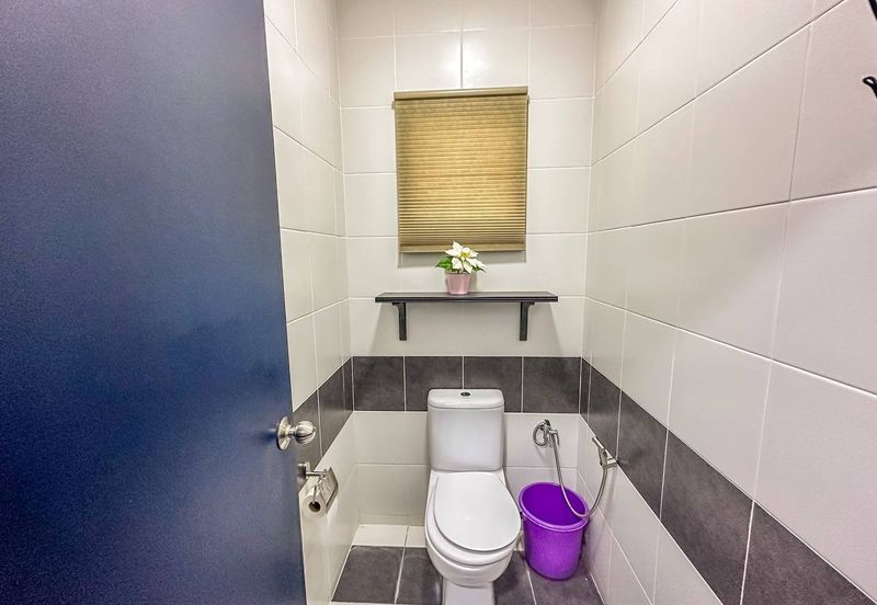 Brighton @ Eco Majestic