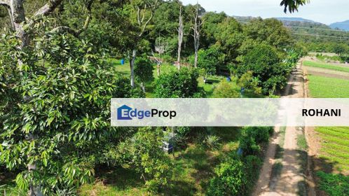 Mantin, Seremban Negeri Sembilan, TANAH PERTANIAN RM11.44 SQFT, DUSUN DURIAN For Sale , Negeri Sembilan, Seremban
