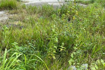 Commercial land @ Pudu, Kuala Lumpur