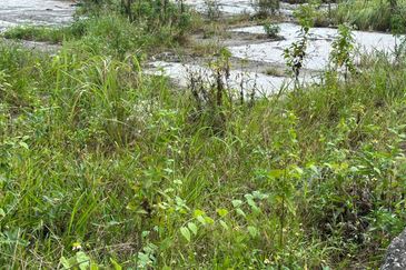 Commercial land @ Pudu, Kuala Lumpur