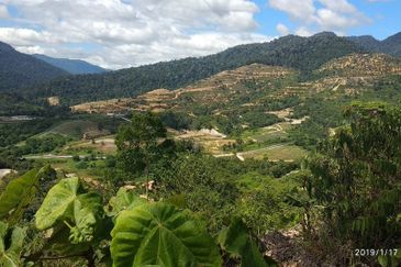 The Valley,Kerau,Karak,Bentong