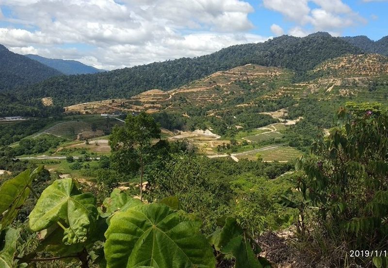 The Valley,Kerau,Karak,Bentong