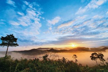 The Valley,Kerau,Karak,Bentong