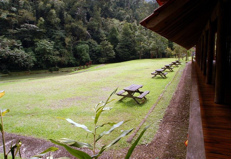 TANARIMBA JANDA BAIK