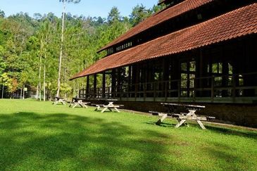 TANARIMBA JANDA BAIK