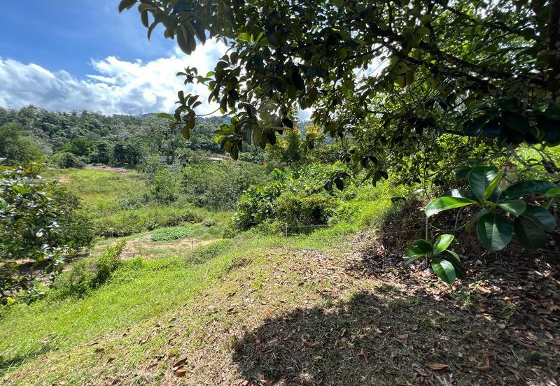 Diamond Creek,Tanjung Malim,Perak,Bungalow Land