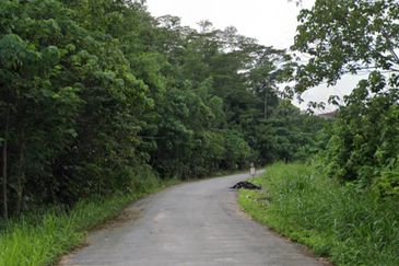 Desa Aman@Sungai Buloh,Kepong,Agricultural Land