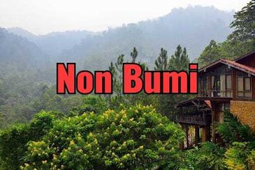 TANARIMBA JANDA BAIK