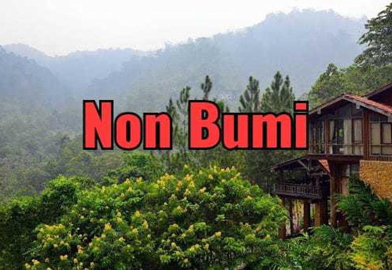 TANARIMBA JANDA BAIK