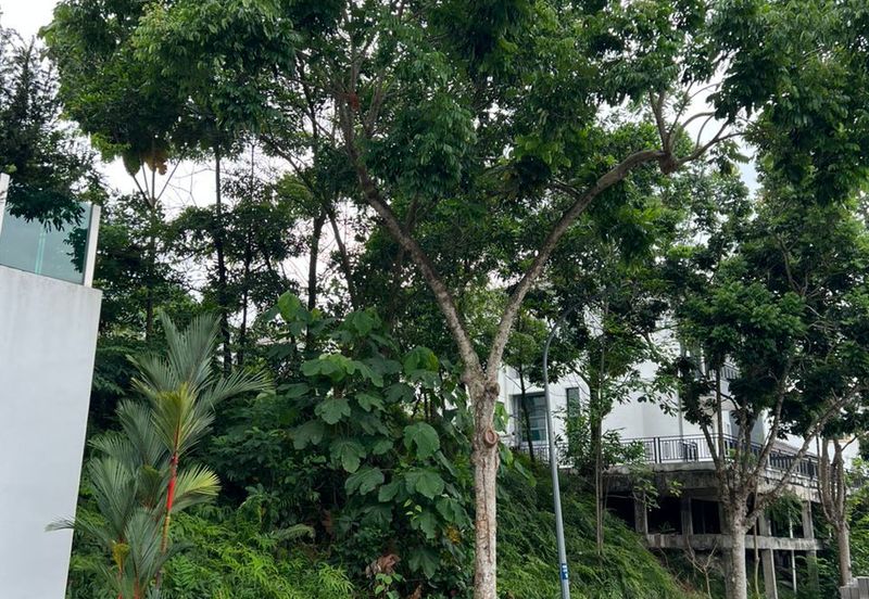 Monterez Golf & Country Club