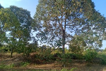 Simpang Petamng@Seremban,Negeri Sembilan