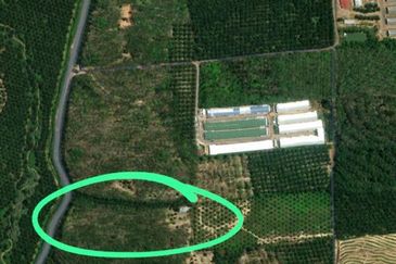 Simpang Petamng@Seremban,Negeri Sembilan