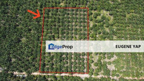 Bagan,Sungai Besar@Panchang Bedena,Agriculture Land, Selangor, Sungai Besar