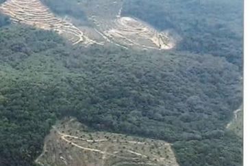 Kerling @ Bukit Beruntung, Rawang, Agriculture Land For Sale