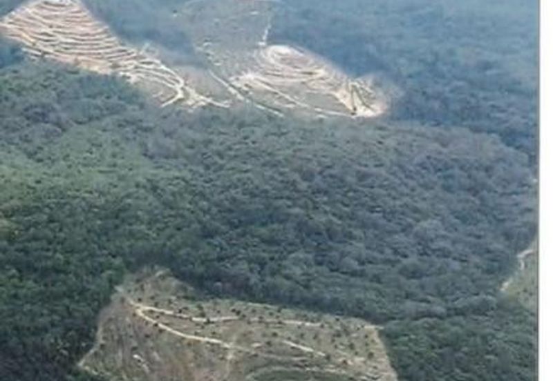 Kerling @ Bukit Beruntung, Rawang, Agriculture Land For Sale