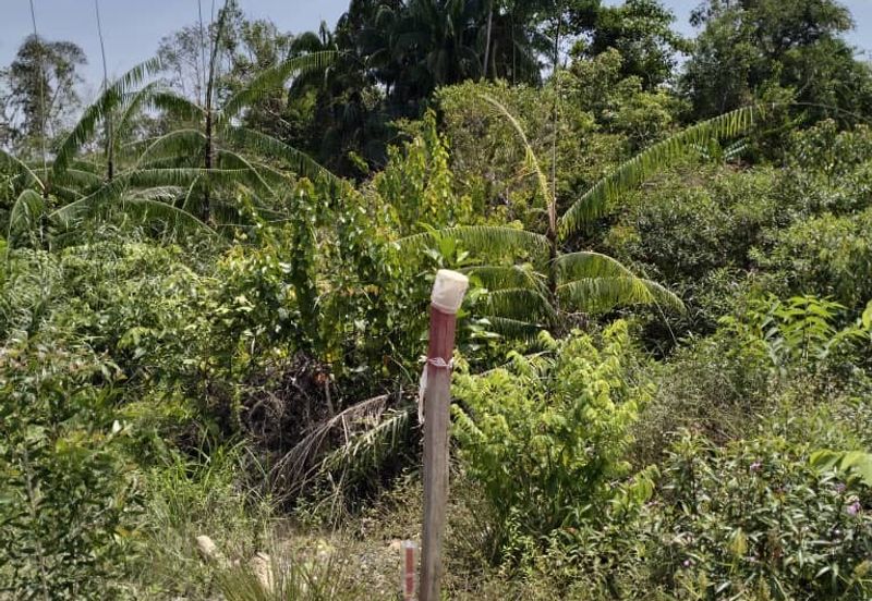 Kerteh, Kemaman @ Terrenganu