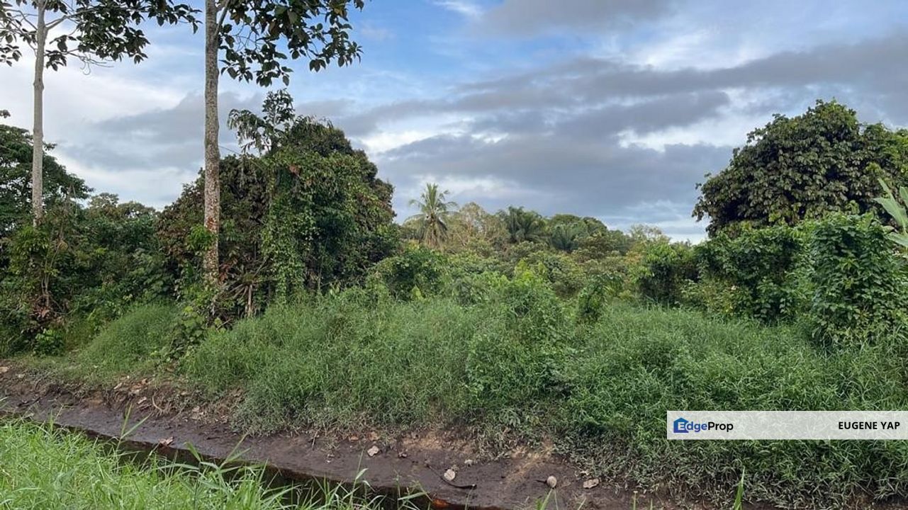 Skudai , Pontian @ Pekan Nanas , Johor, Johor, Pontian