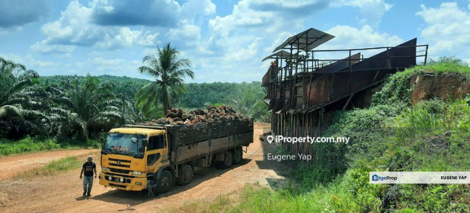 Bukit Kuin@Sungai Lembing,Kuantan,Pahang, Pekan Sungai Lembing, Hulu Kuantan, Pahang, Kuantan