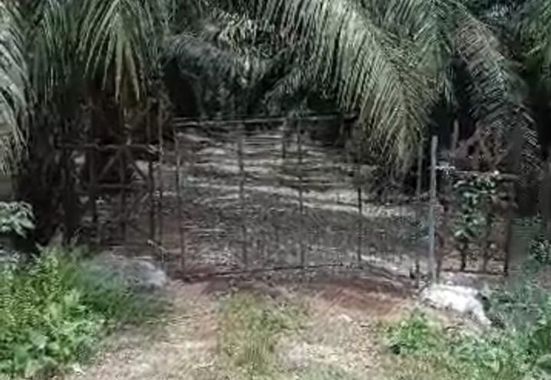 Bestari Jaya , Batang Berjuntai , Jaya Setia @ Rawang  Agriculture land 4 acres Freehold