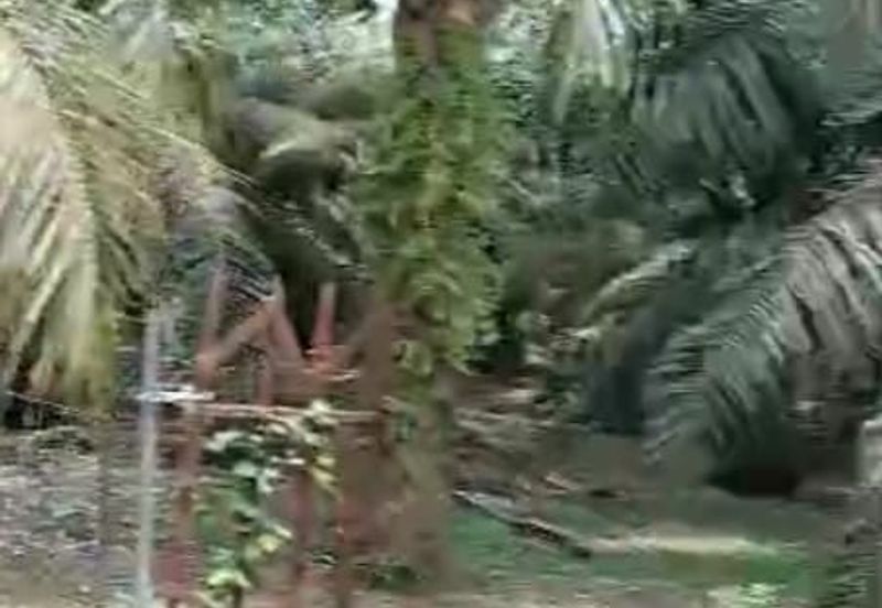 Bestari Jaya , Batang Berjuntai , Jaya Setia @ Rawang  Agriculture land 4 acres Freehold