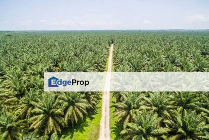 Bestari Jaya , Batang Berjuntai , Jaya Setia @ Rawang  Agriculture land 4 acres Freehold, Selangor, Batang Berjuntai
